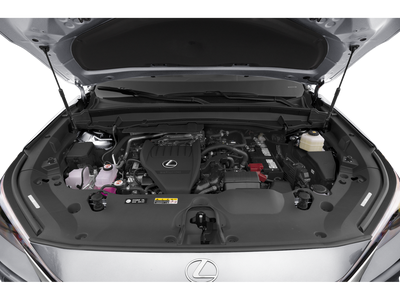 2024 Lexus TX 350 Luxury